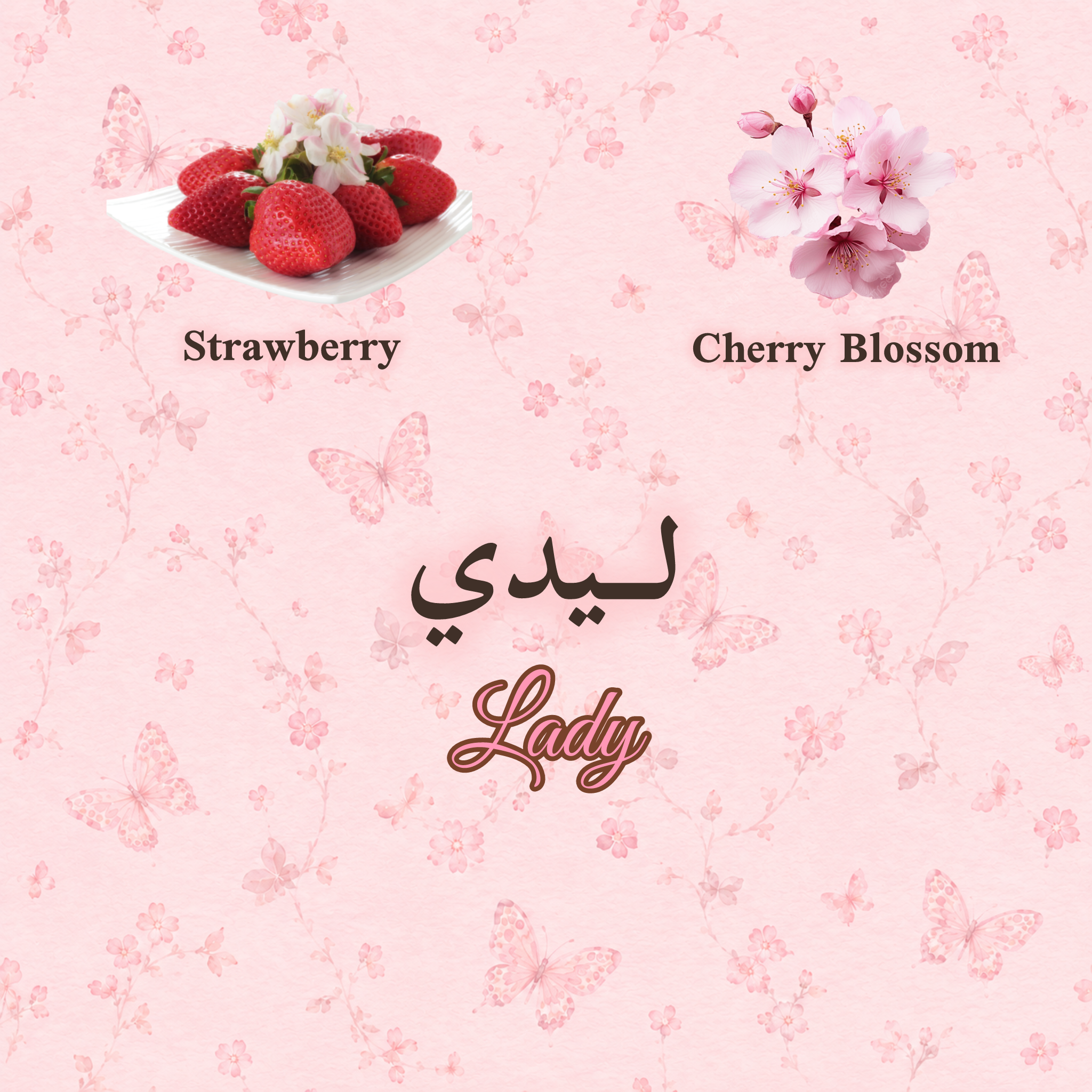 ليدي Lady 🌸🍓